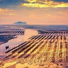 ซินดี้ สิรินยา avatar